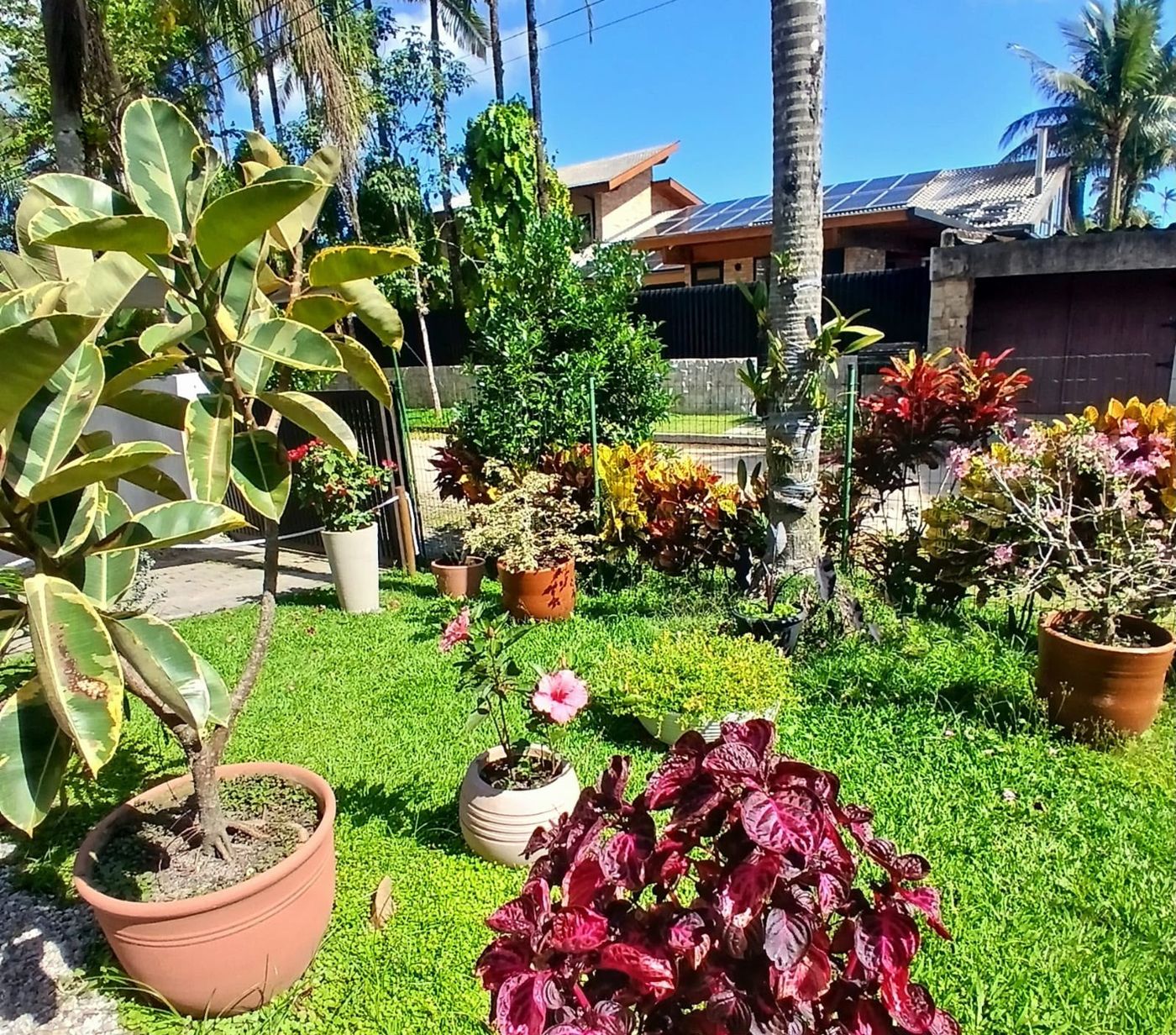Jardim com plantas e flores na frente da casa